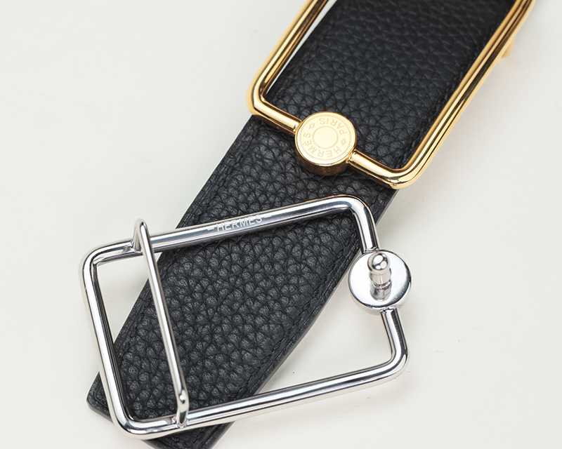 that lung nam hermes hoa tiet khoa hinh chu nhat mat vang 4