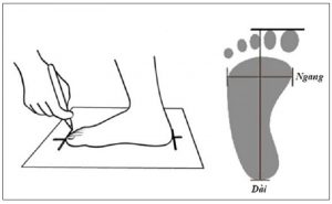 size giày adidas nam