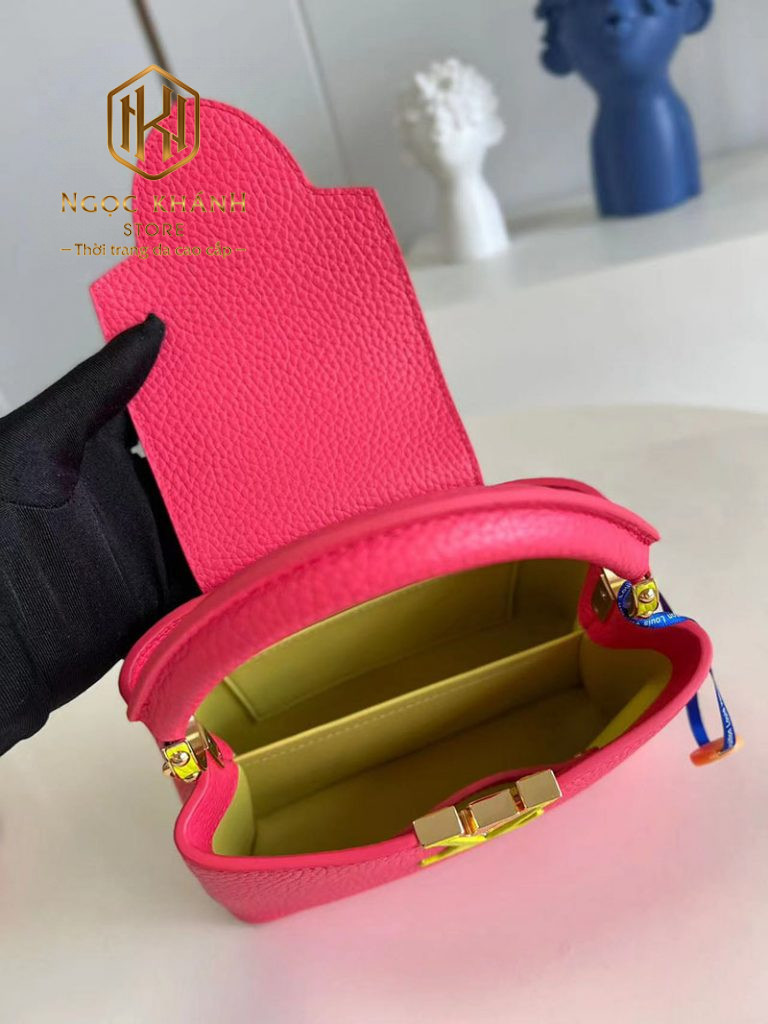 Túi xách nữ Louis Vuitton