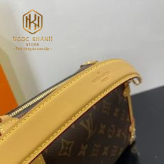 Túi xách nữ Louis Vuitton