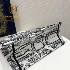 Túi xách nữ Dior