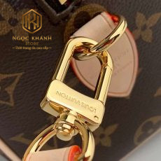 Túi xách nữ Louis Vuitton