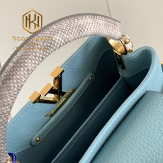 Túi xách nữ Louis Vuitton