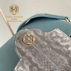 Túi xách nữ Louis Vuitton