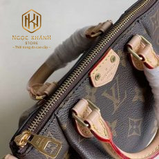 Túi xách nữ Louis Vuitton