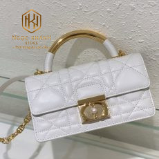 Túi xách nữ Dior