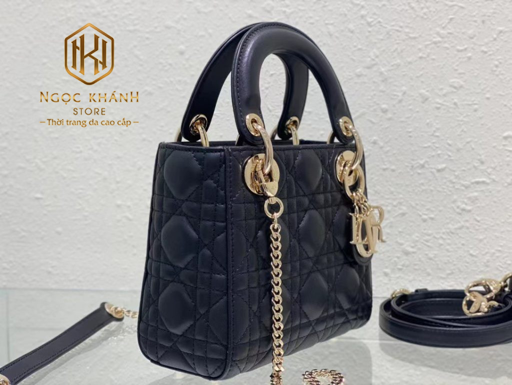 Túi xách nữ Dior
