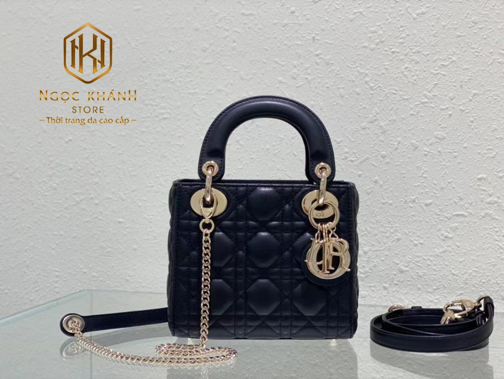 Túi xách nữ Dior