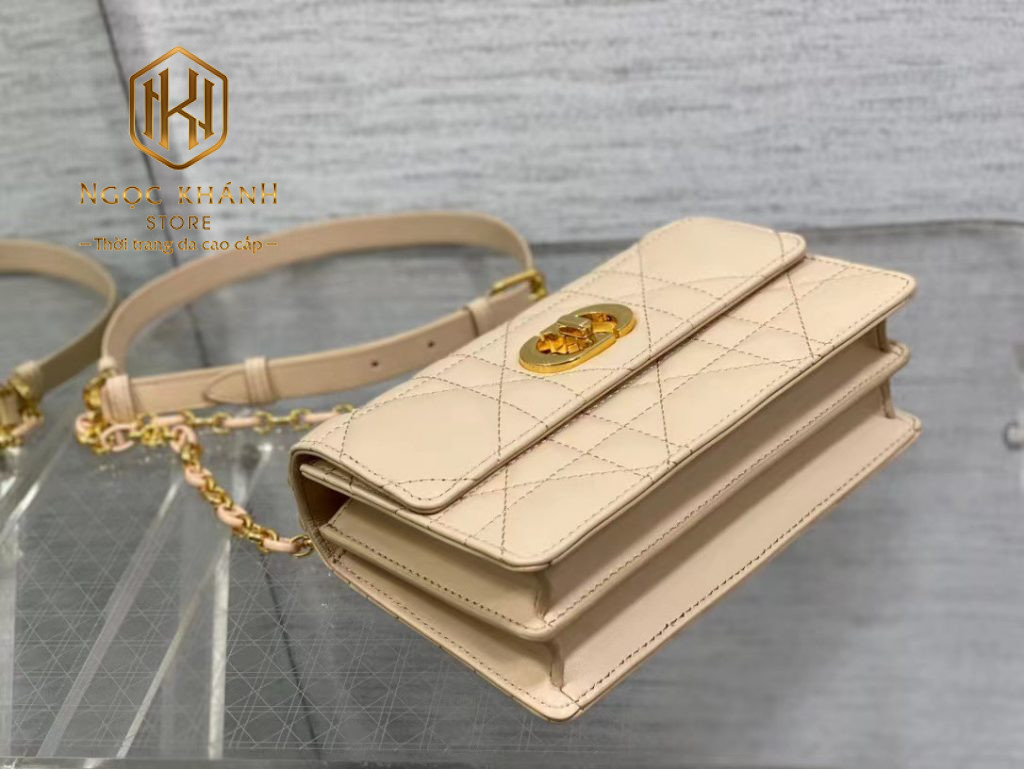 Túi xách nữ Dior