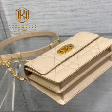 Túi xách nữ Dior
