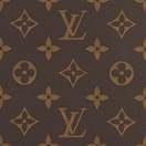 Gợi ý 15+ mẫu ví LV hoa ấn tượng, giá tốt, được tìm mua nhiều tại Ngọc Khánh Store 1 Ví LV hoa