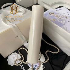 Túi xách nữ Chanel