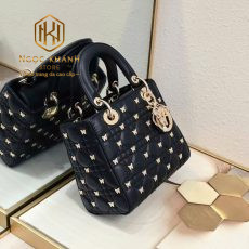 Túi xách nữ Dior Laddy