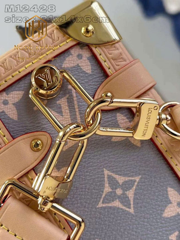 Túi xách nữ Louis Vuitton