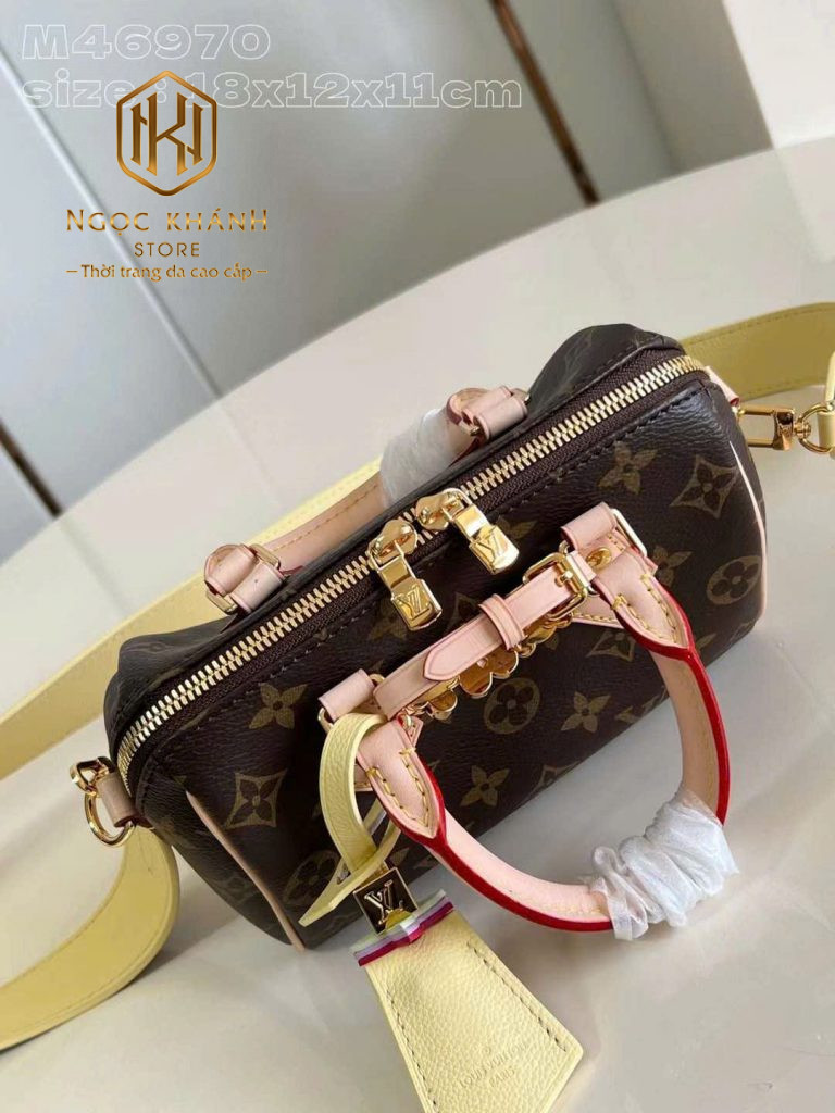 Túi xách nữ Louis Vuitton