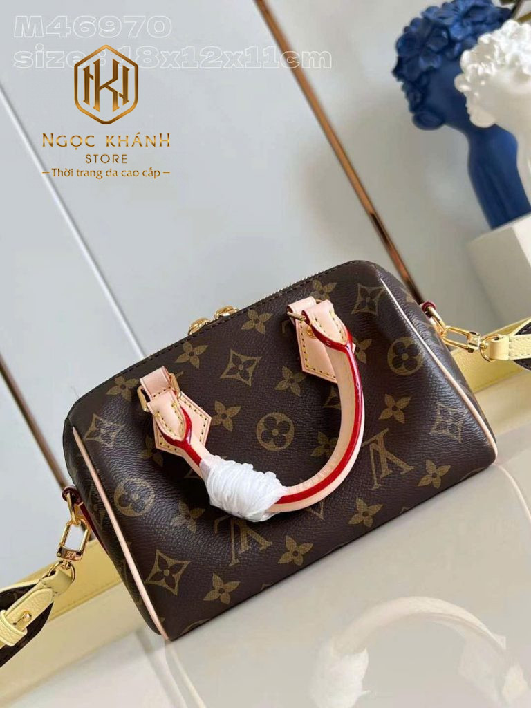 Túi xách nữ Louis Vuitton