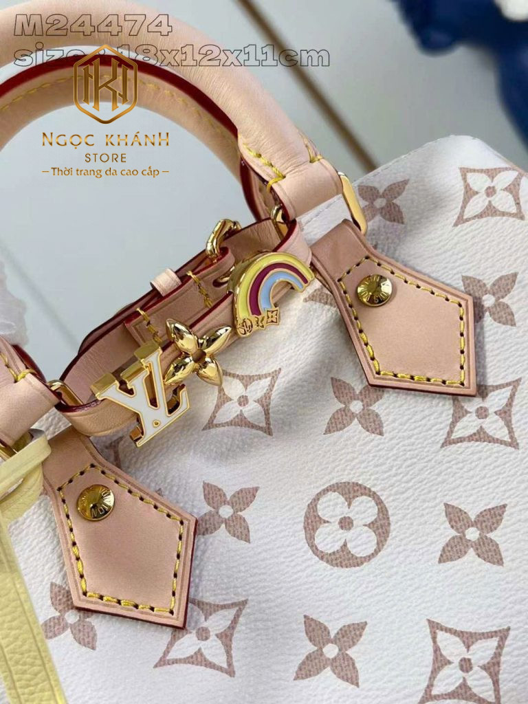 Túi xách nữ Louis Vuitton