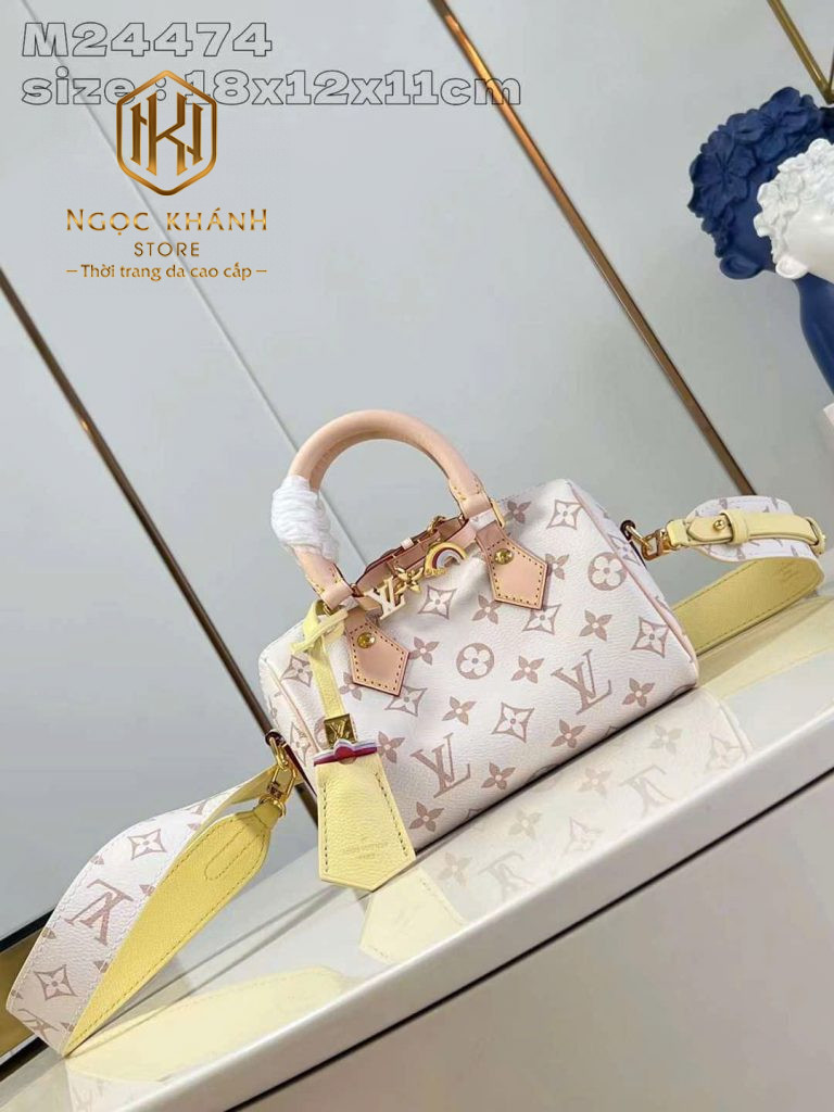 Túi xách nữ Louis Vuitton