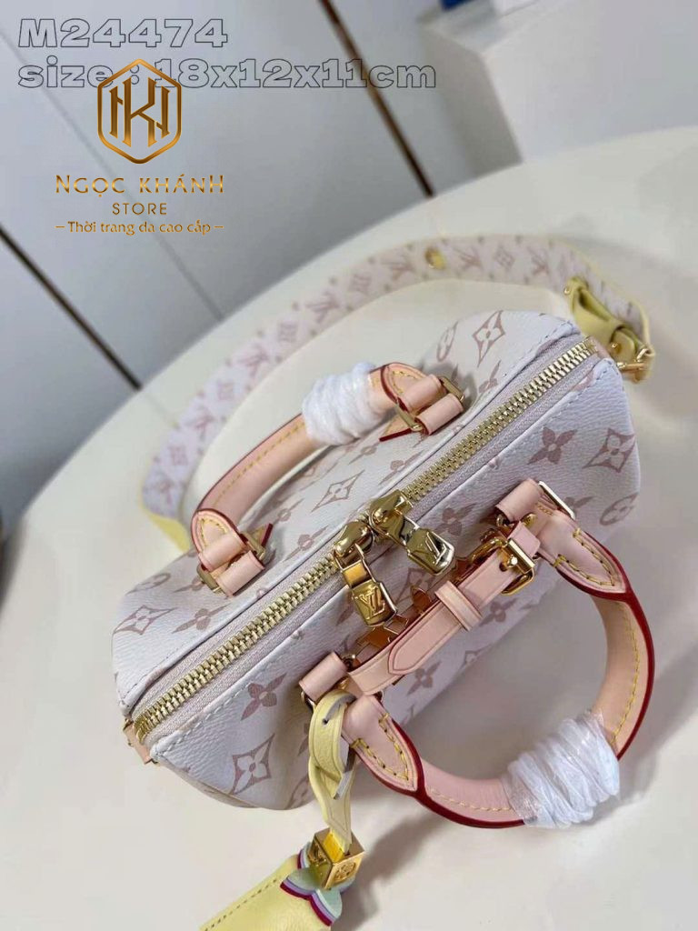 Túi xách nữ Louis Vuitton