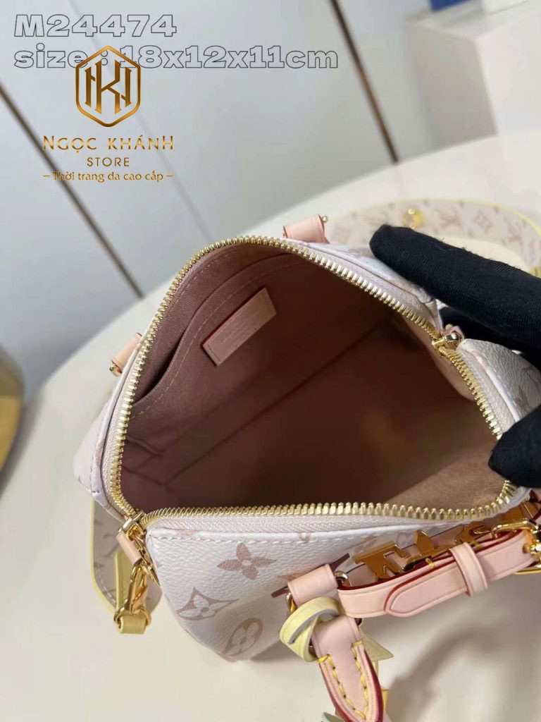 Túi xách nữ Louis Vuitton