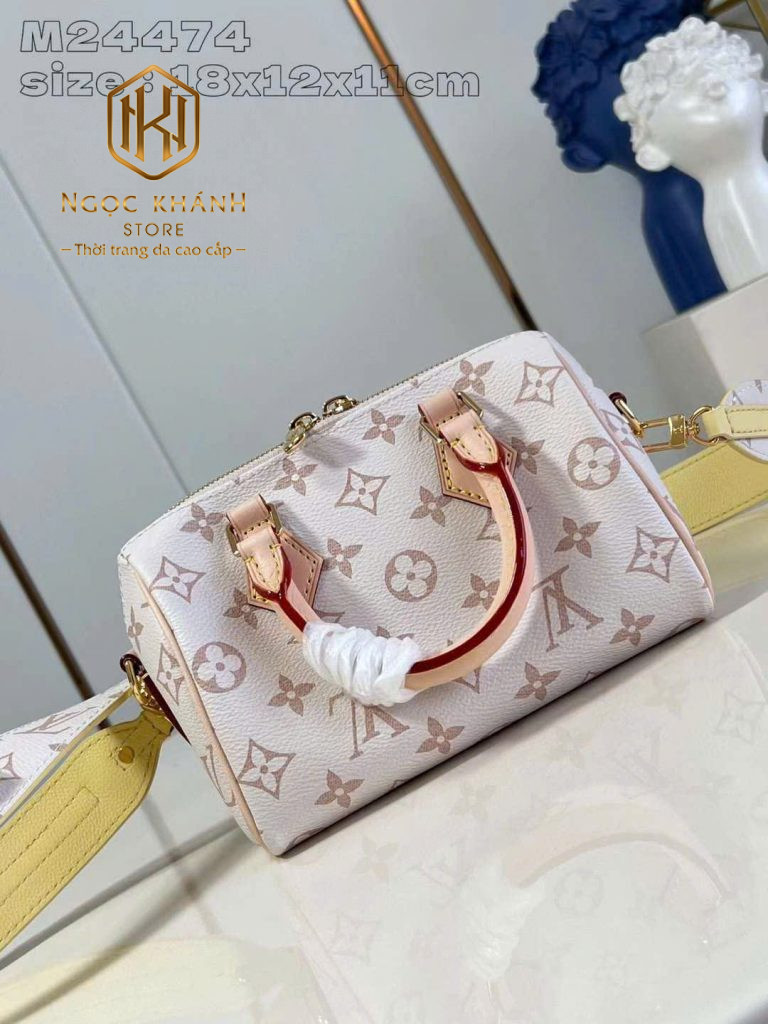 Túi xách nữ Louis Vuitton