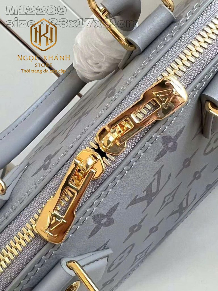 Túi xách nữ Louis Vuitton