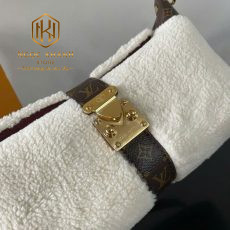 Túi xách nữ Louis Vuitton