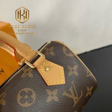 Túi xách nữ Louis Vuitton