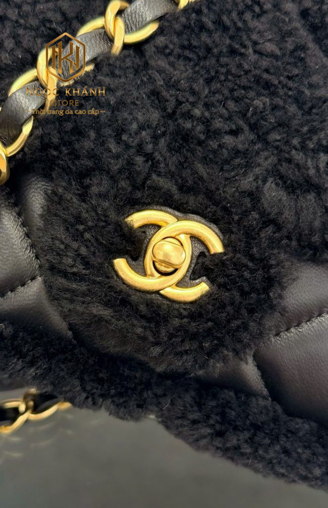Túi xách nữ Chanel