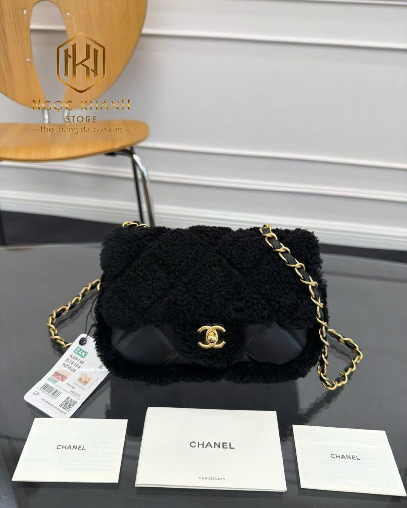Túi xách nữ Chanel
