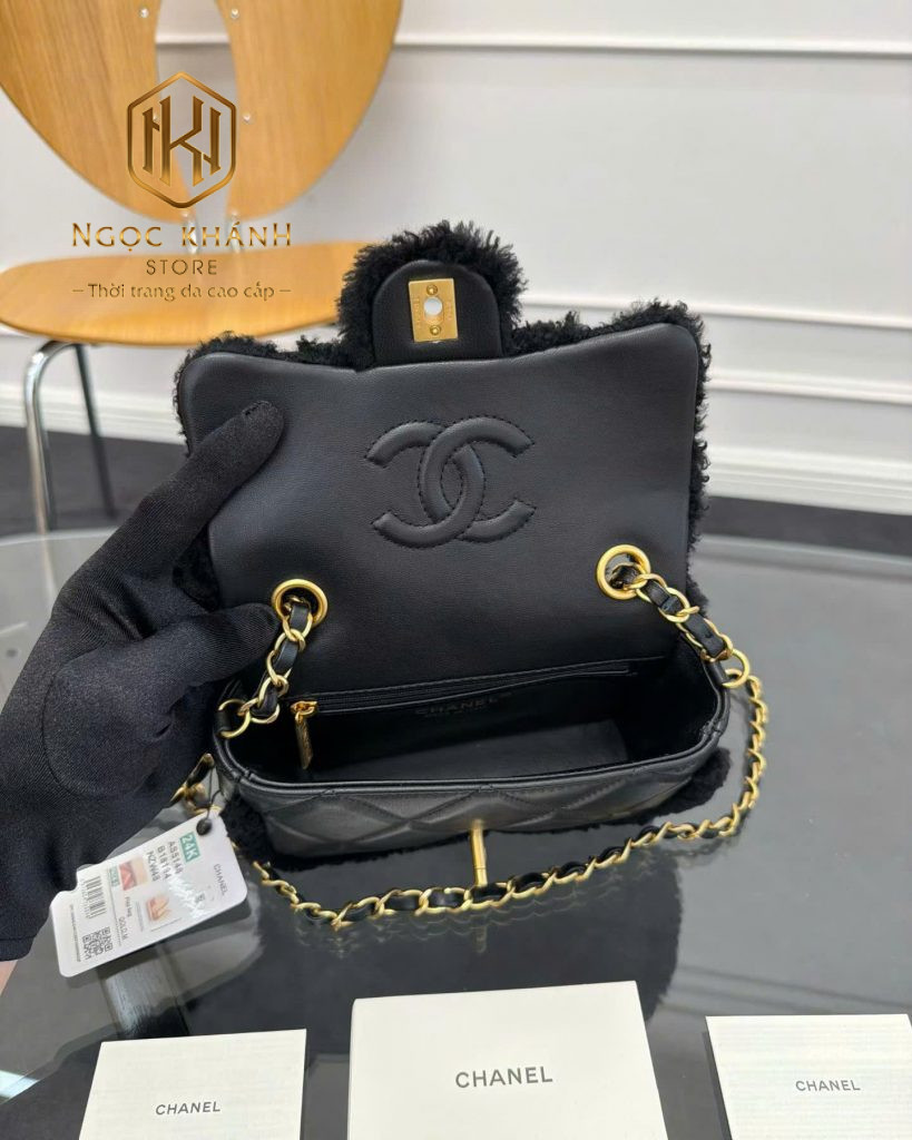 Túi xách nữ Chanel