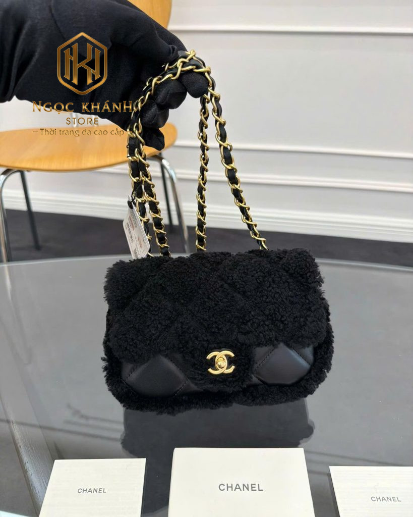 Túi xách nữ Chanel