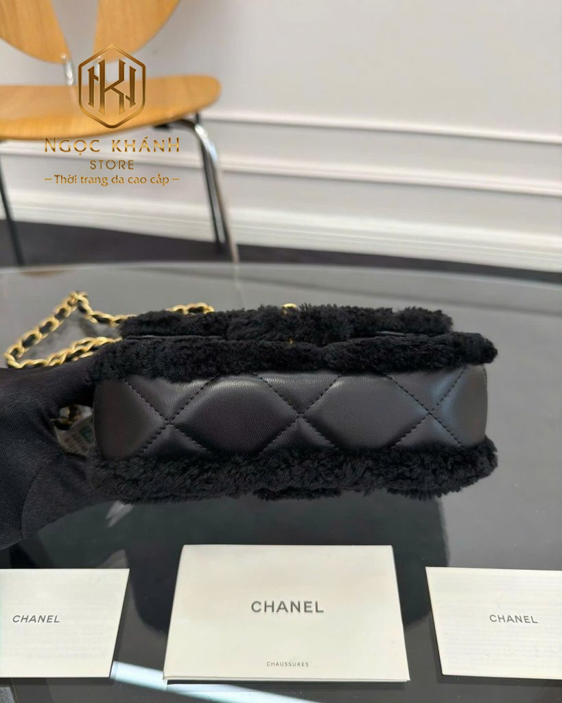 Túi xách nữ Chanel