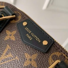 Túi xách nữ Louis Vuitton