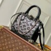Túi xách nữ Louis Vuitton
