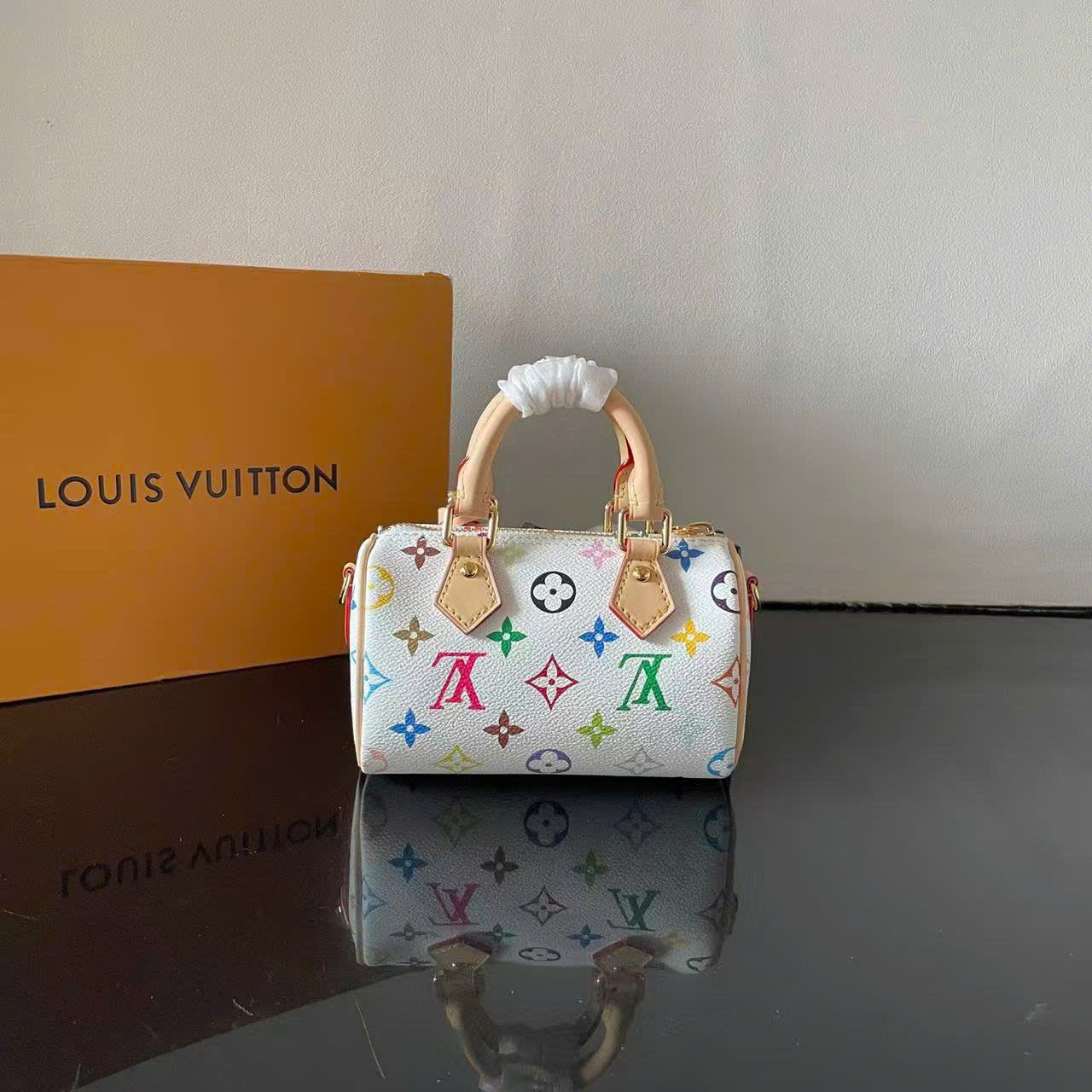 Túi xách nữ Louis Vuitton
