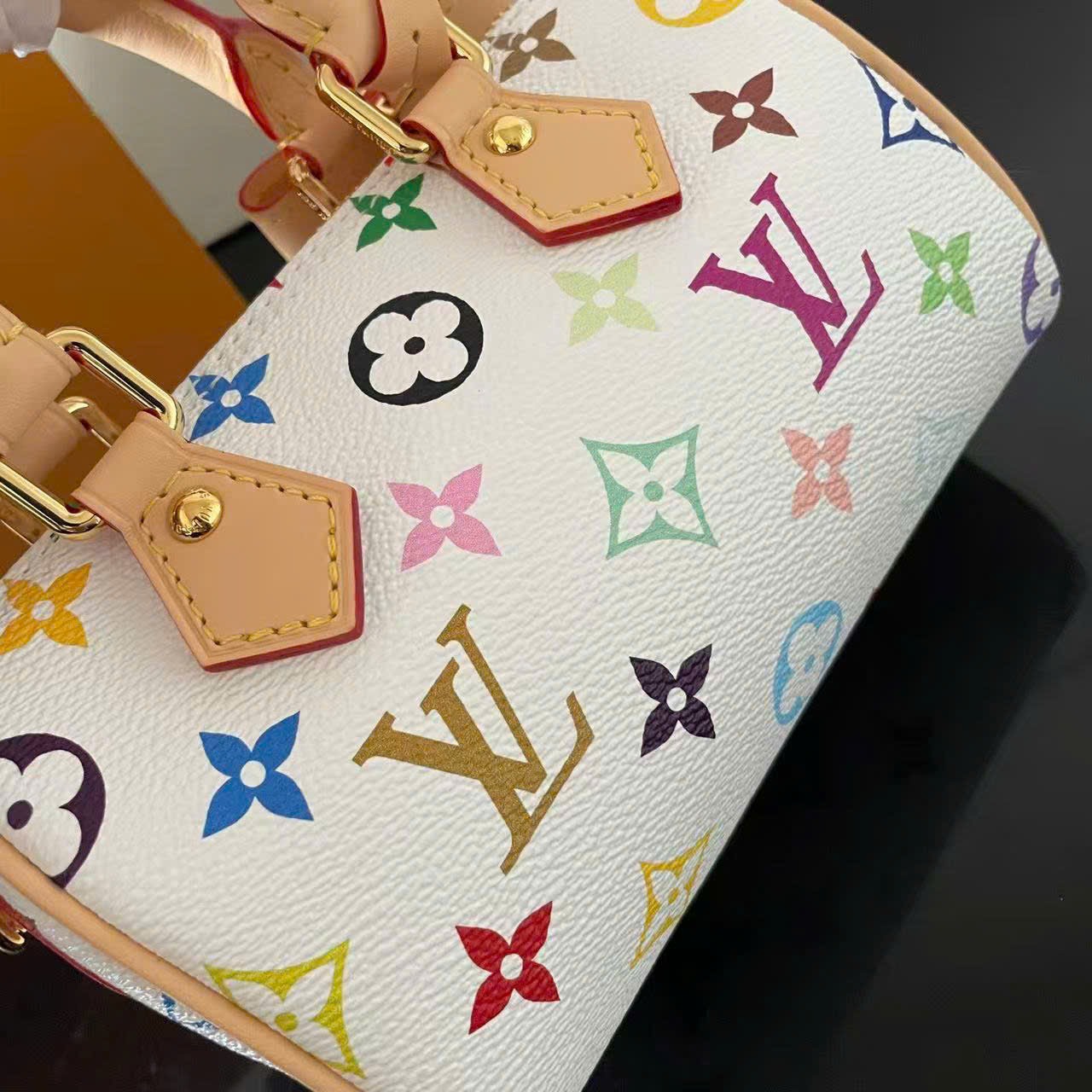 Túi xách nữ Louis Vuitton