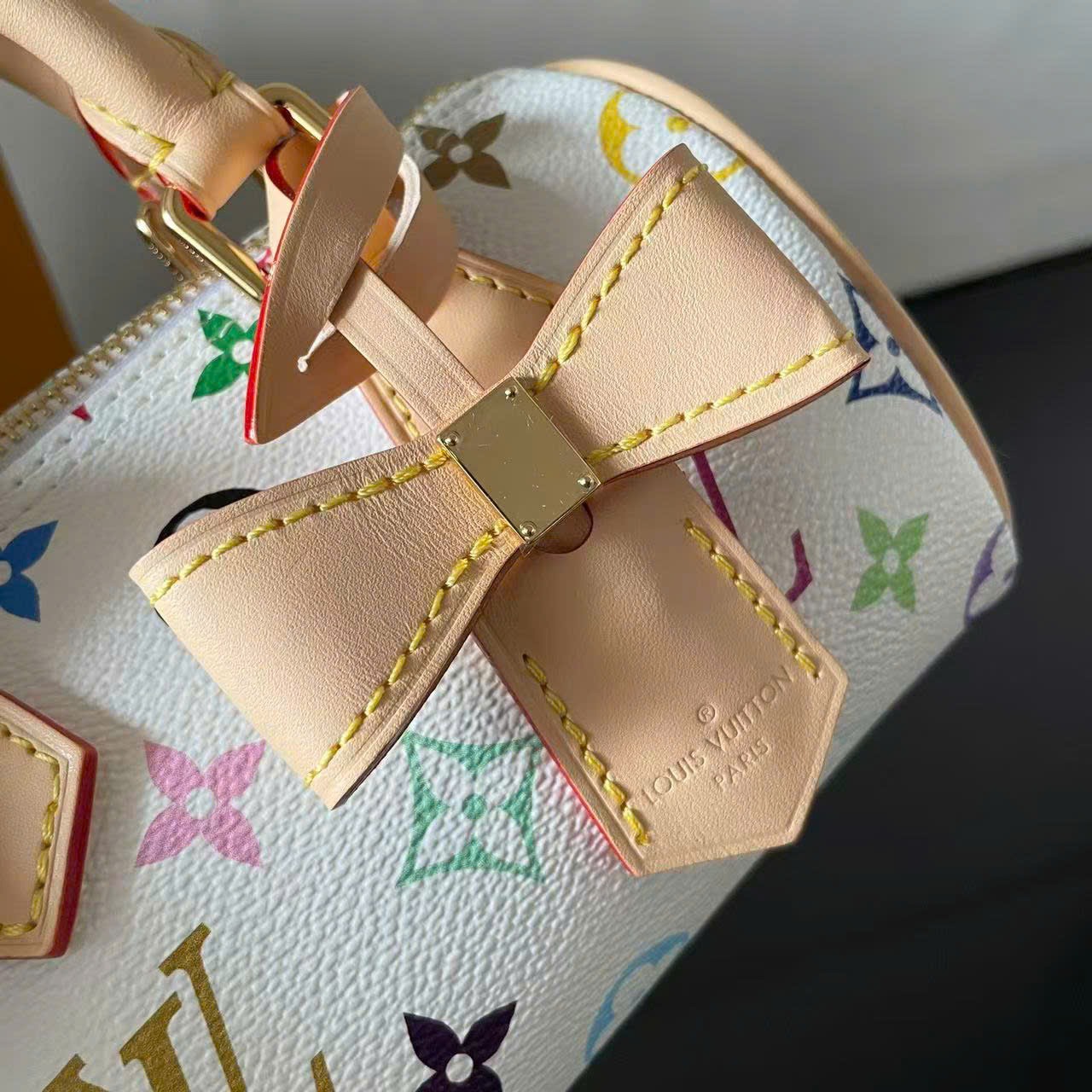 Túi xách nữ Louis Vuitton
